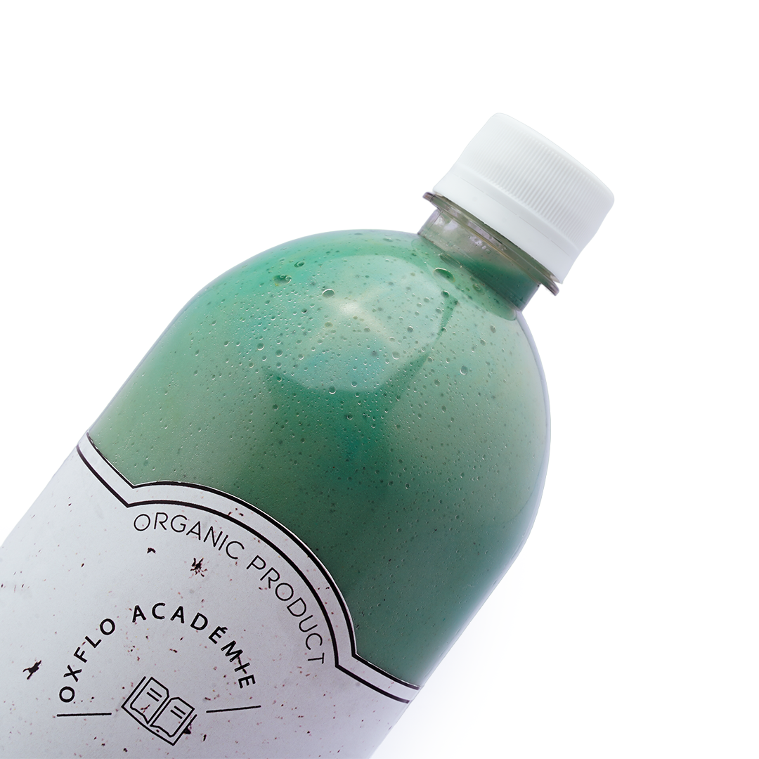 OUTILS DE ICE SCUPLT : Ice sculpt 1L