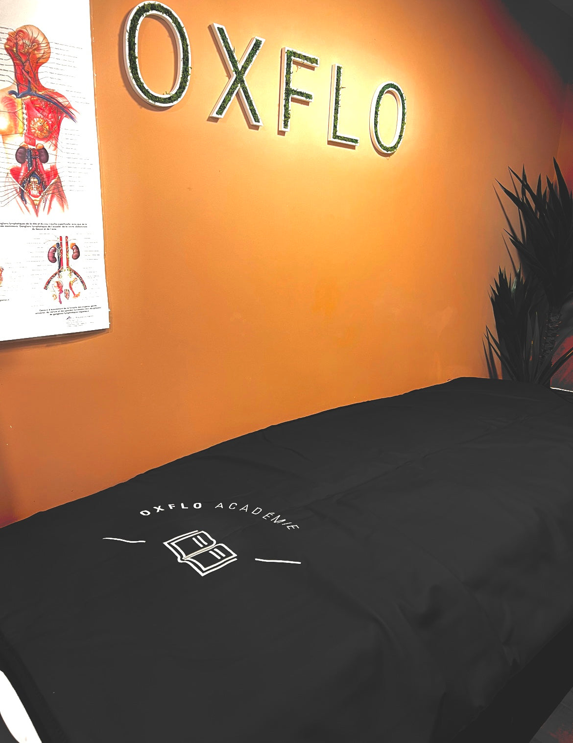 Couverture infrathérapie / Hot Sauna Blanket