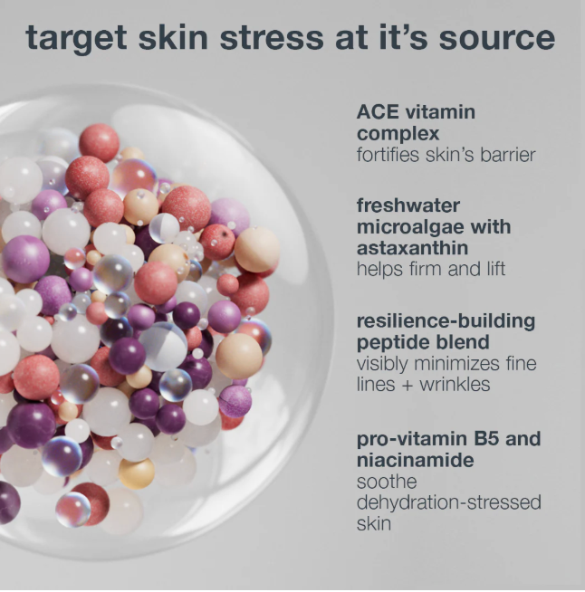 DERMALOGICA - MULTIVITAMIN POWER RECOVERY CREAM (50 ml)